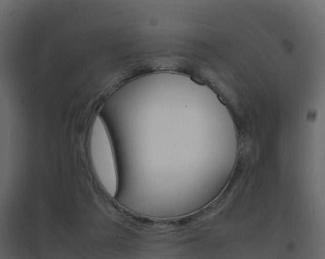X0000096700209200802051109