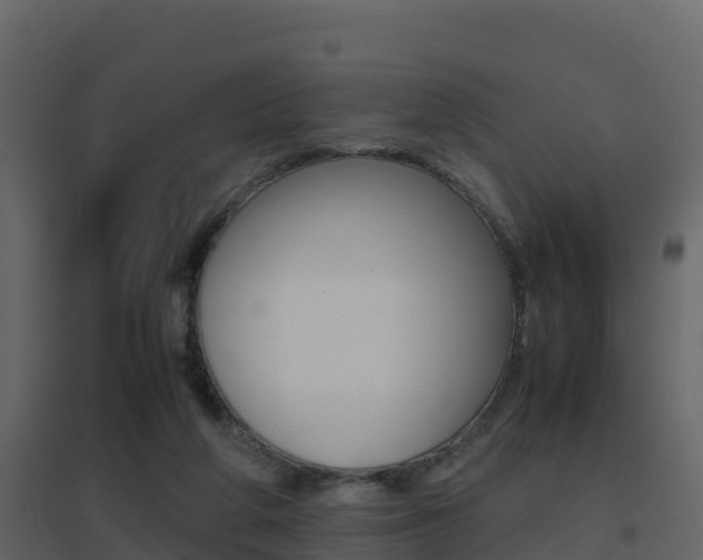 X0000096700210200802051108