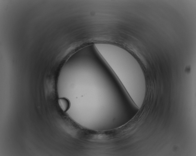 X0000096700212200802051108