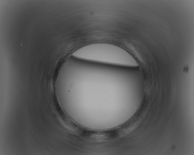 X0000096700213200802051108