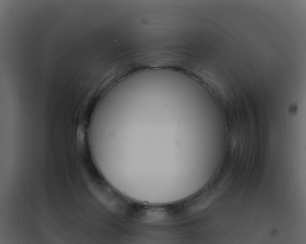 X0000096700214200802051108