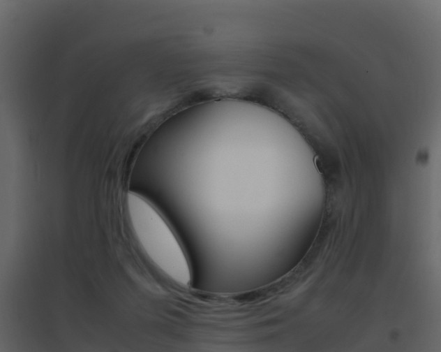 X0000096700215200802051108