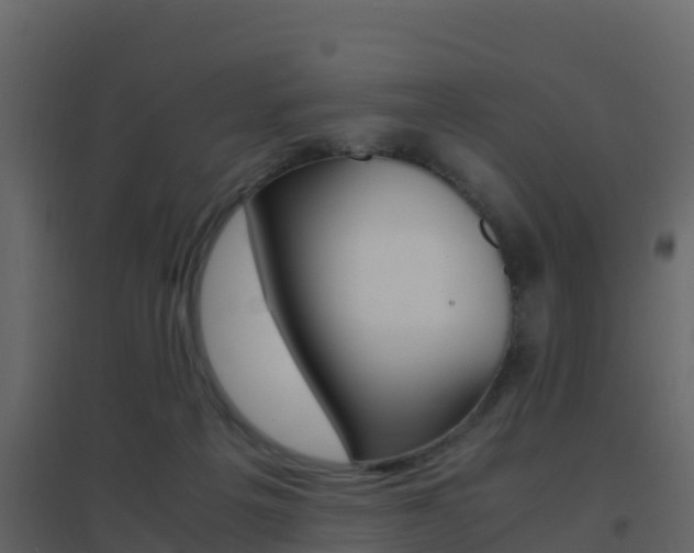 X0000096700217200802051108