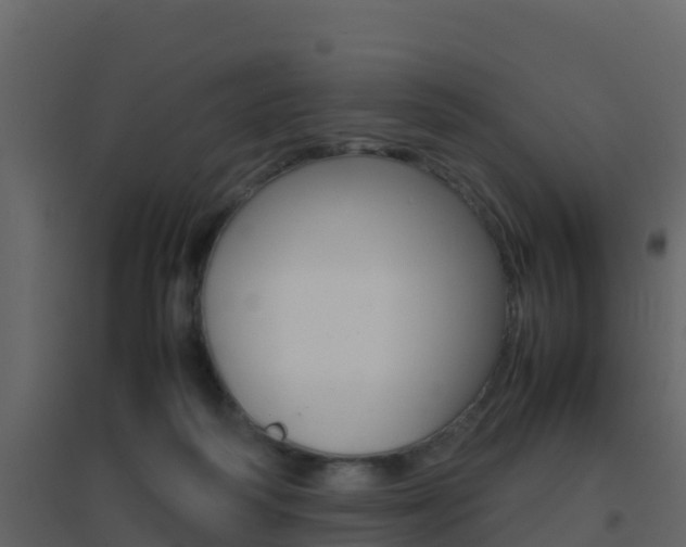 X0000096700218200802051108
