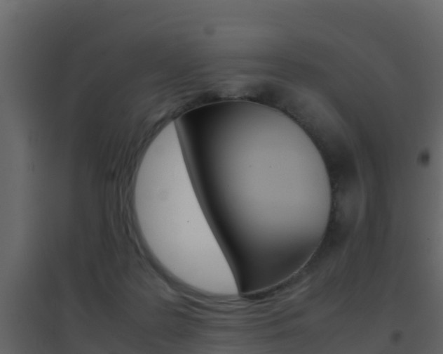 X0000096700219200802051108