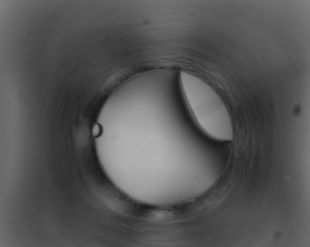 X0000096700220200802051108