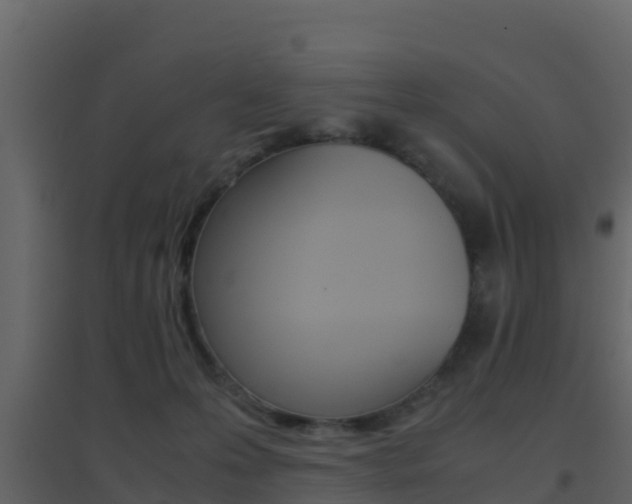 X0000096700223200802051108