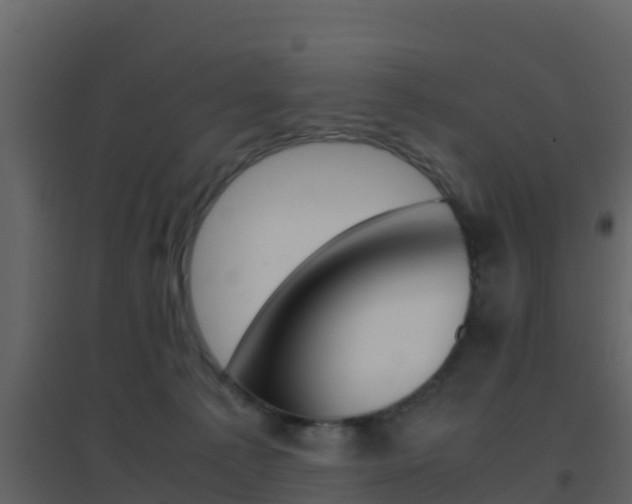 X0000096700225200802051108