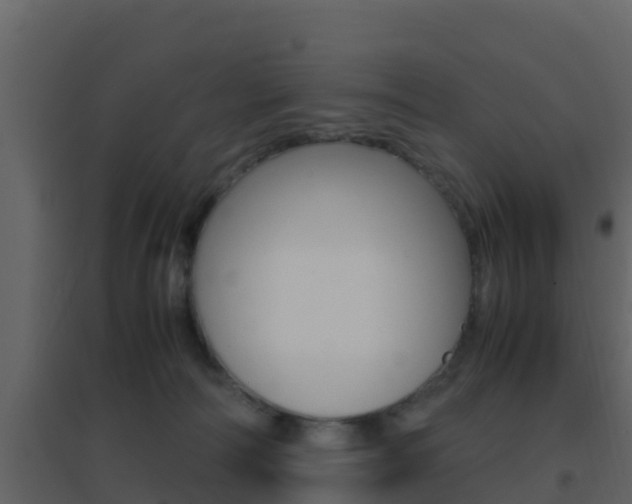 X0000096700226200802051108