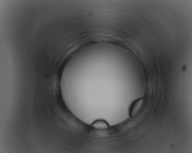X0000096700228200802051108