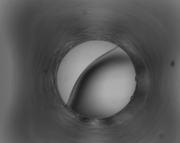 X0000096700229200802051108