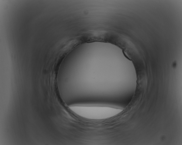 X0000096700231200802051108