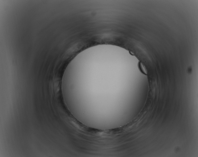 X0000096700232200802051108