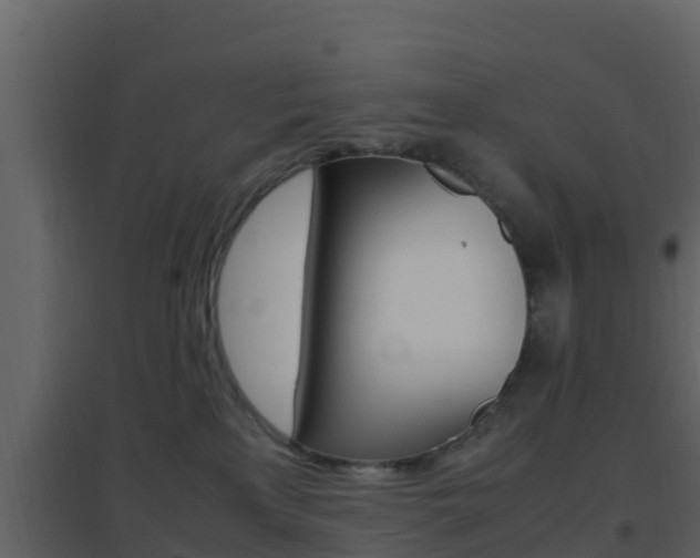 X0000096700233200802051108
