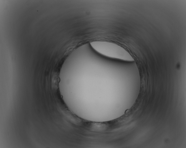 X0000096700234200802051108