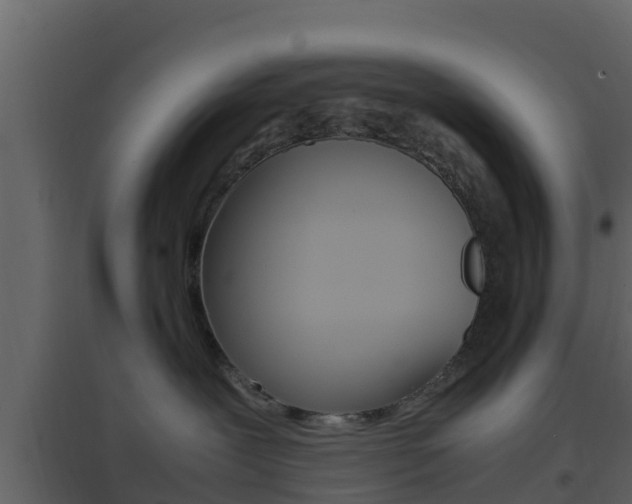 X0000096700239200802051108