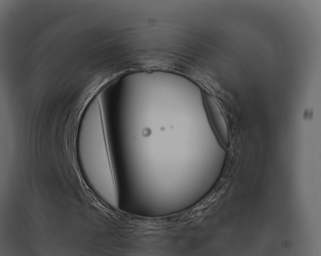 X0000096700241200802051107
