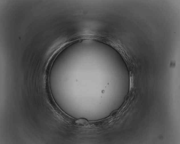 X0000096700243200802051107