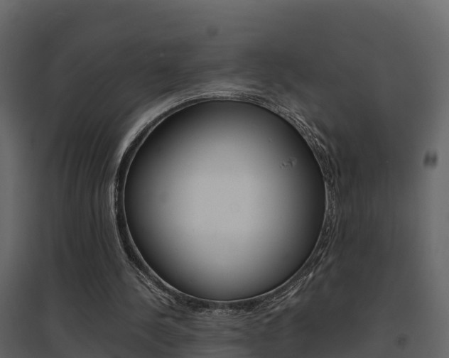X0000096700244200802051107