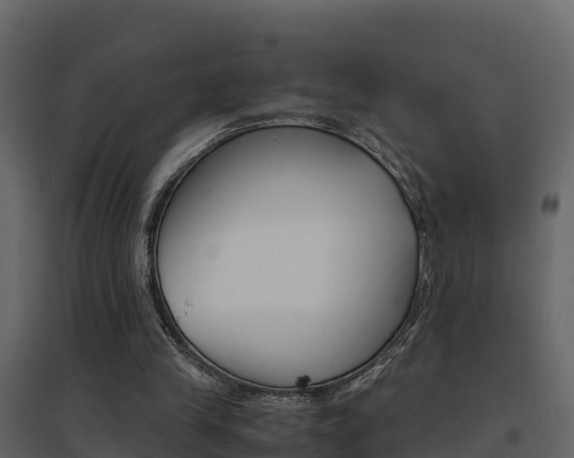 X0000096700245200802051107