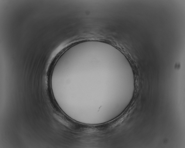 X0000096700246200802051107