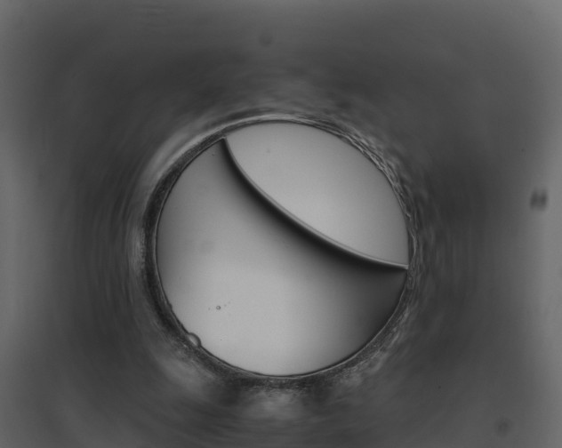 X0000096700247200802051107