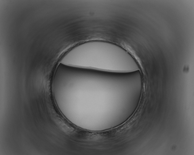 X0000096700249200802051108