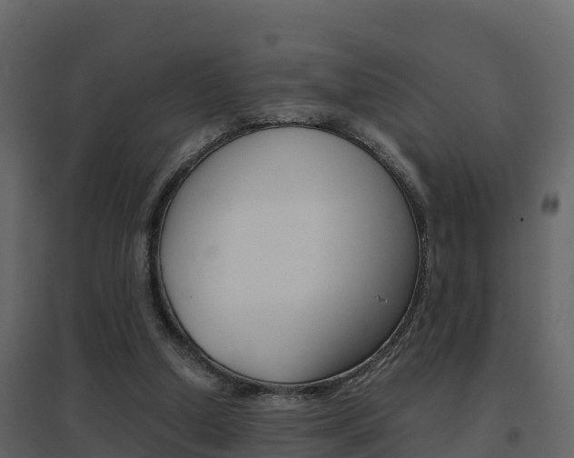 X0000096700250200802051108