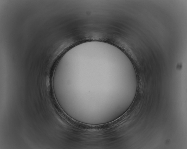 X0000096700251200802051108