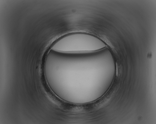 X0000096700252200802051108