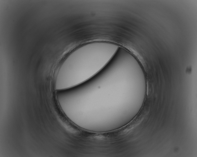 X0000096700253200802051108