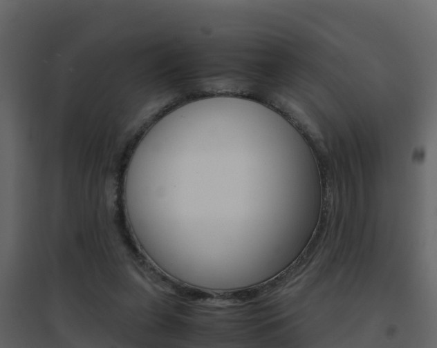 X0000096700255200802051108
