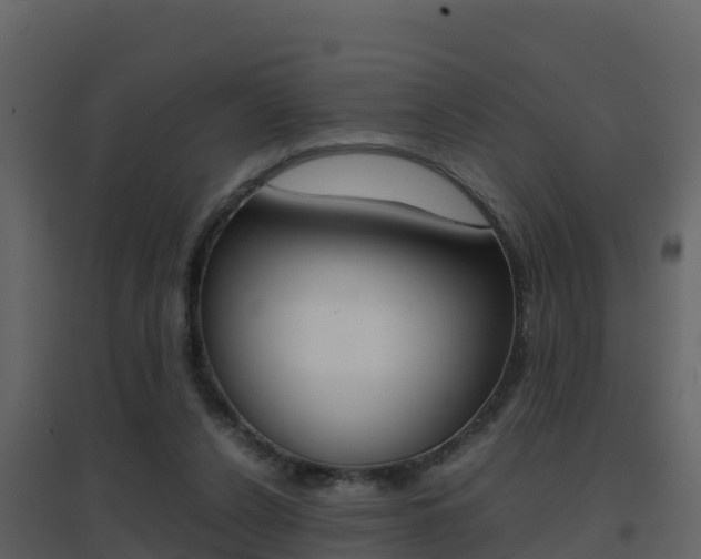 X0000096700256200802051108
