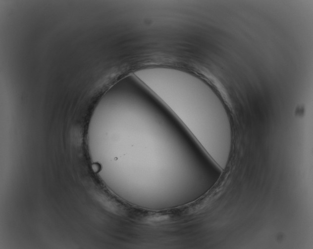 X0000096700257200802051108