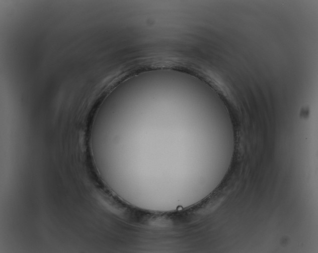 X0000096700258200802051108