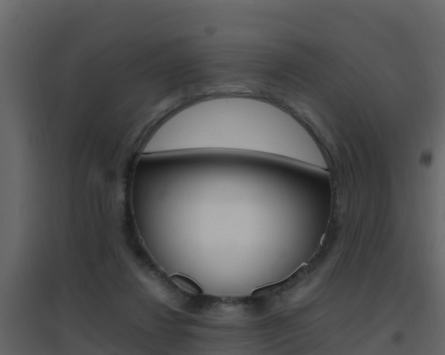 X0000096700260200802051108
