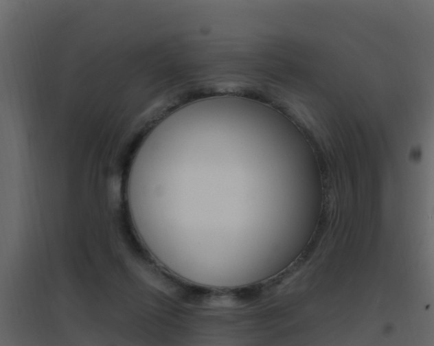X0000096700262200802051108