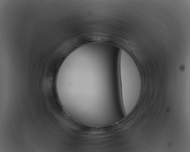 X0000096700263200802051108