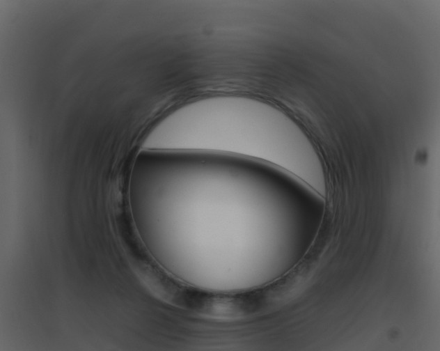 X0000096700264200802051108