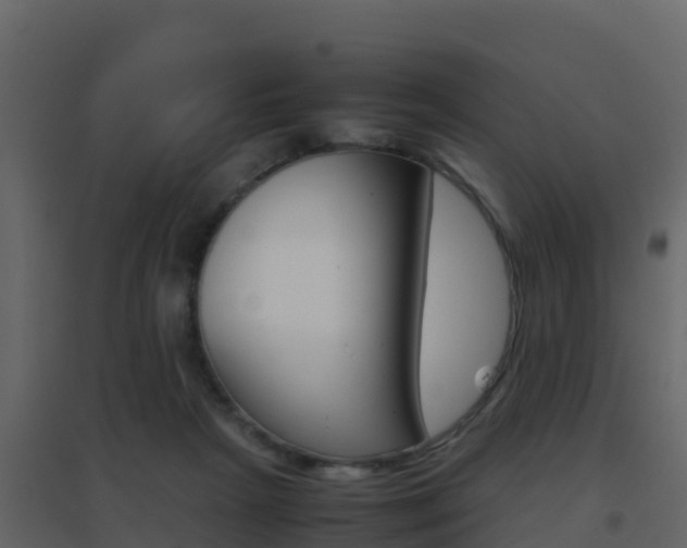 X0000096700265200802051108