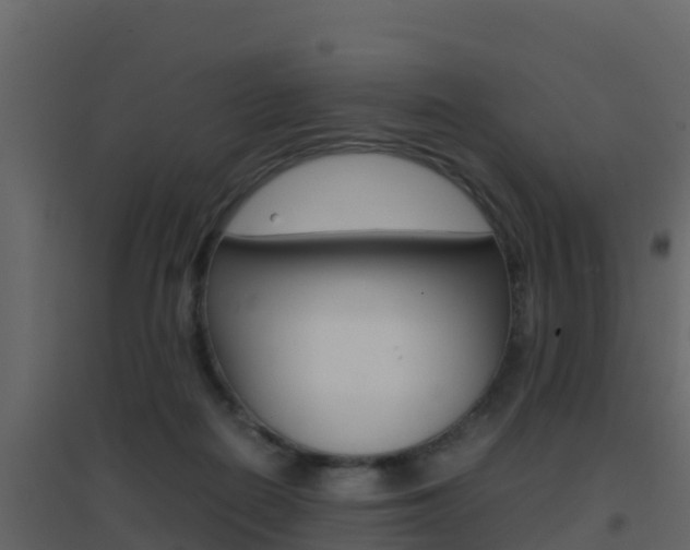 X0000096700266200802051108