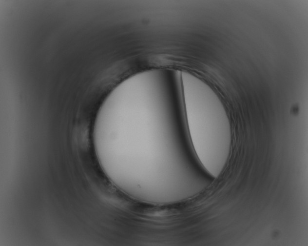 X0000096700267200802051108