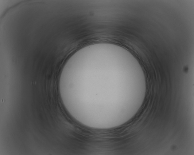 X0000096700268200802051108