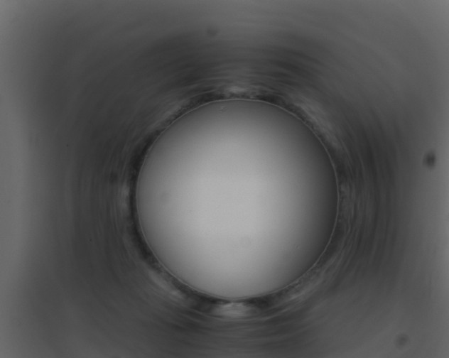 X0000096700269200802051108