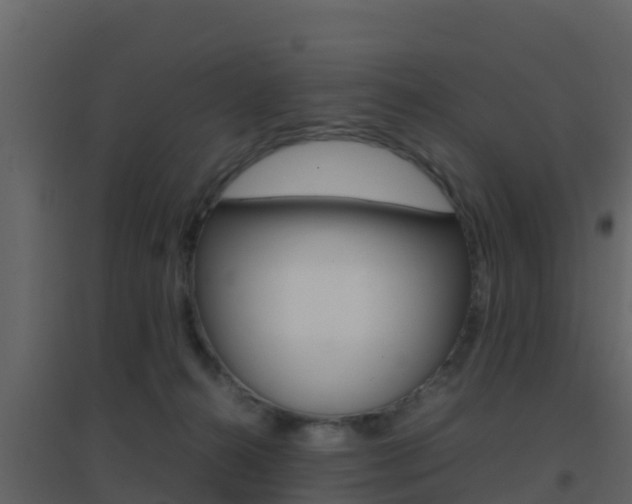 X0000096700272200802051108