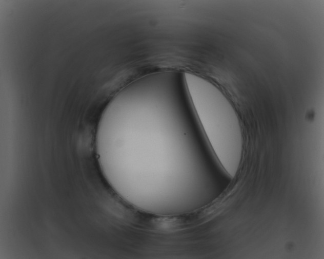 X0000096700273200802051108