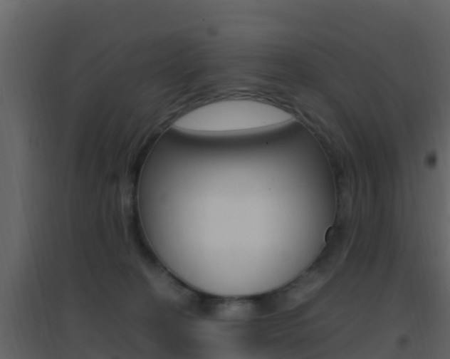 X0000096700274200802051108