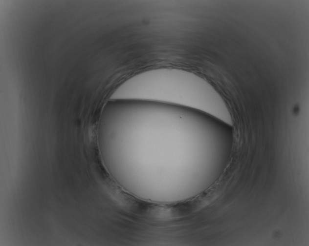 X0000096700276200802051108