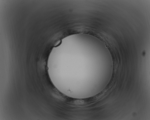 X0000096700279200802051108