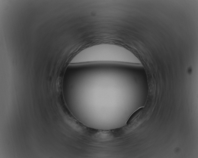 X0000096700280200802051108